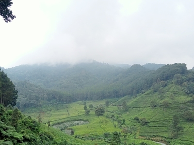 Gemuruh Aspirasi Pemudi Cipada         