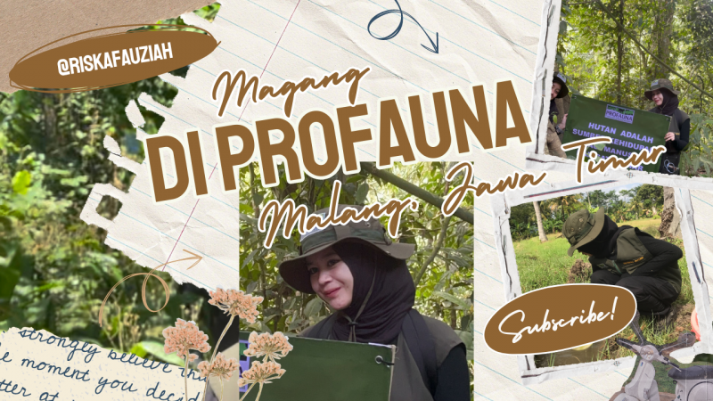 Rekomendasi Tempat Magang Mahasiswa di PROFAUNA